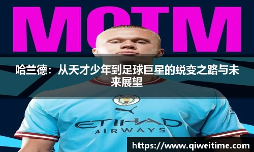 摩根娱乐