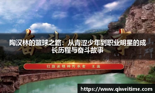 陶汉林的篮球之路：从青涩少年到职业明星的成长历程与奋斗故事